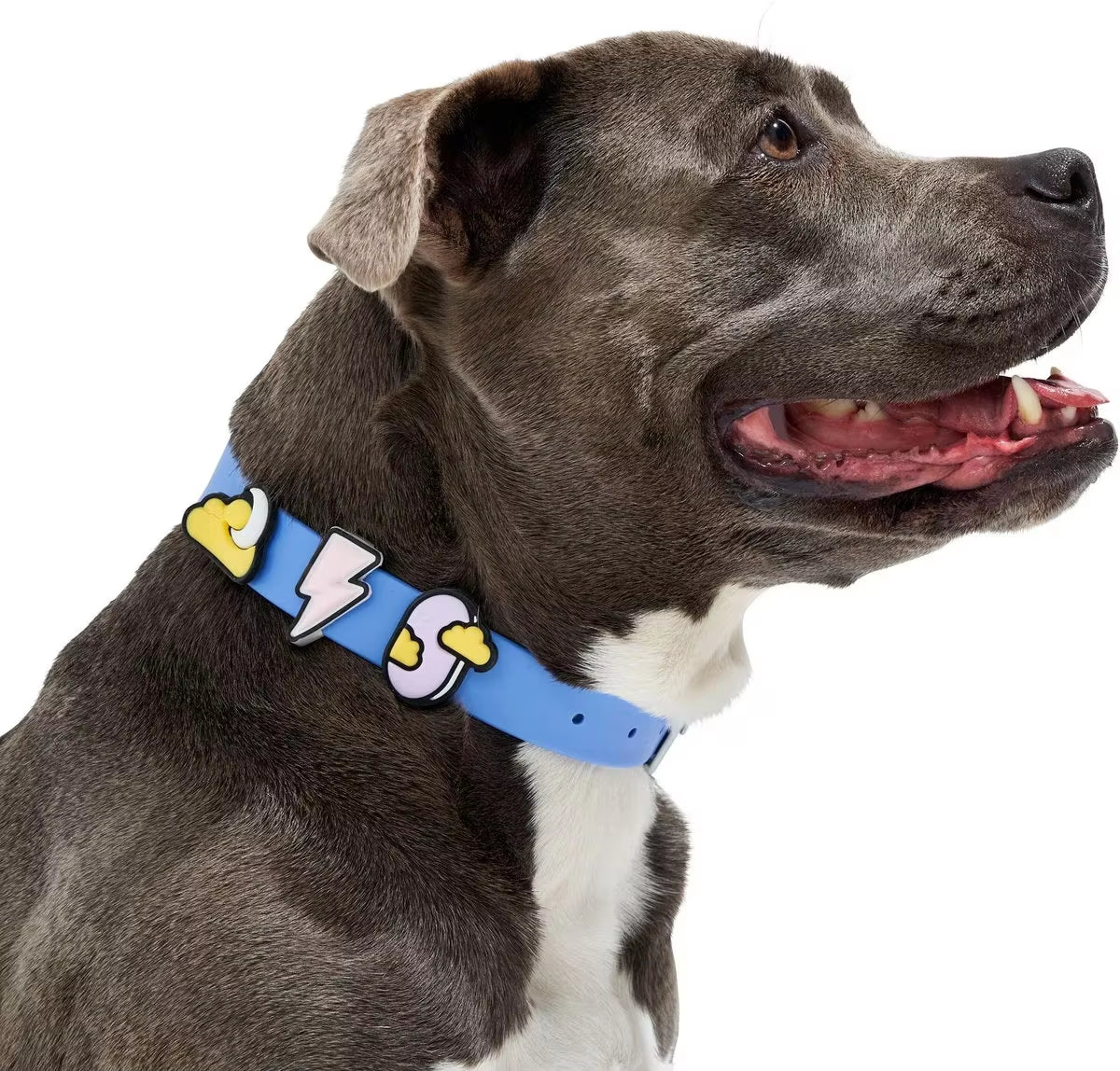 Sinsky Waterproof Luxury Custom PVC Pet Cat Dog Collar Charm Fashion Silicone Pet Leash and Collar Set with Flair Accessories