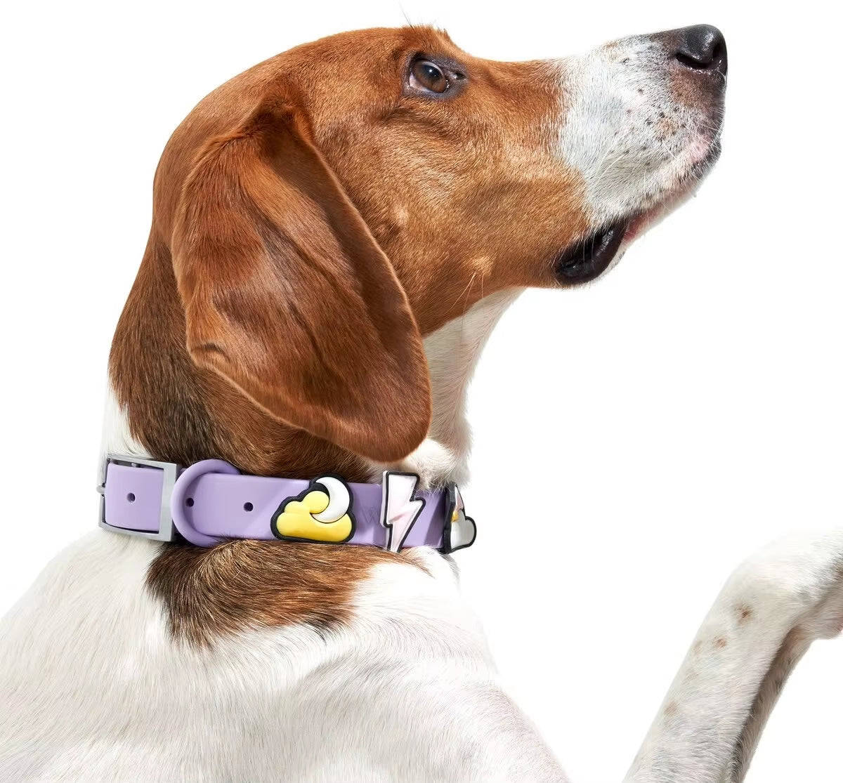 Sinsky Waterproof Luxury Custom PVC Pet Cat Dog Collar Charm Fashion Silicone Pet Leash and Collar Set with Flair Accessories